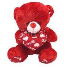  Red Teddy Bear with Love Pillow